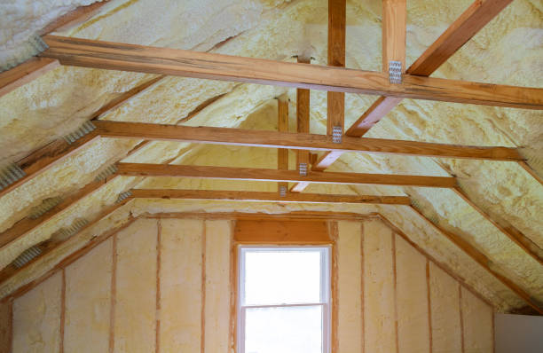 Best Insulation for New Construction  in Mazon, IL