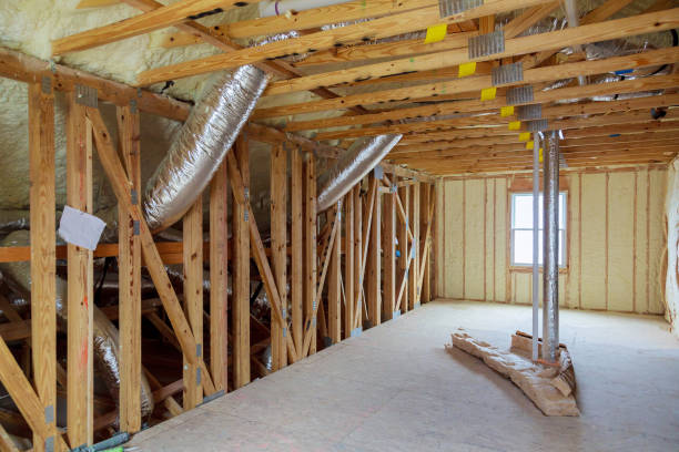 Best Insulation Repair Services  in Mazon, IL