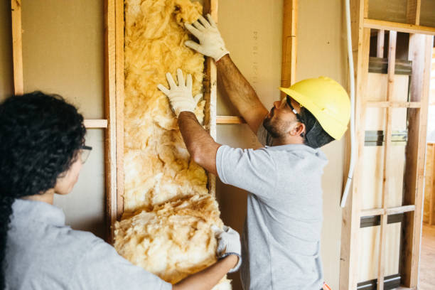 Best Fiberglass Insulation  in Mazon, IL