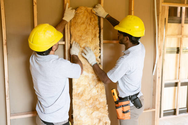 Best Insulation Removal  in Mazon, IL