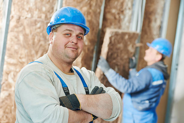 Best Energy-efficient Insulation  in Mazon, IL