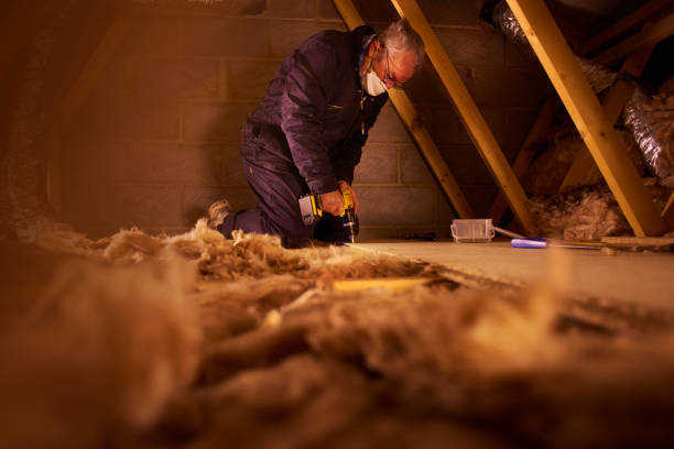 Best Local Insulation Services  in Mazon, IL