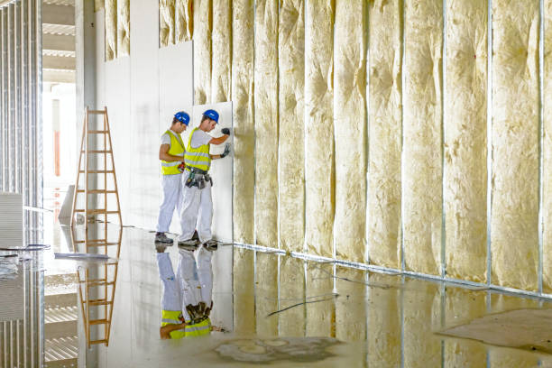 Insulation Contractors for Homes in Mazon, IL